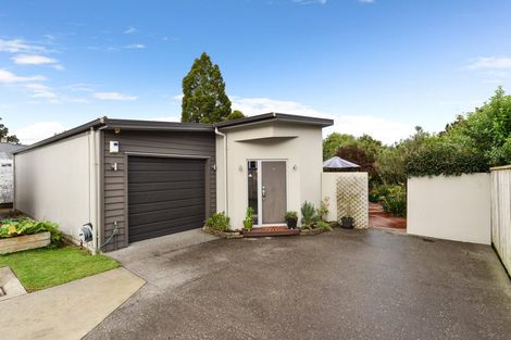 Photo of property in 21a Darley Street, Maeroa, Hamilton, 3200