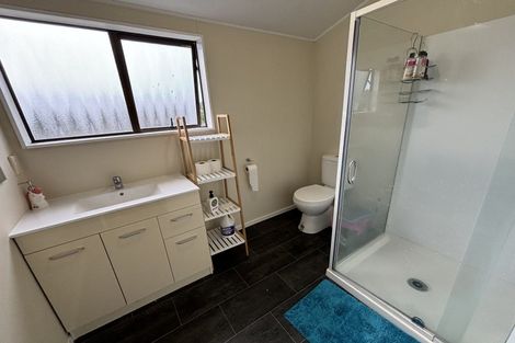 Photo of property in 47 Totara Road, Awapuni, Palmerston North, 4412
