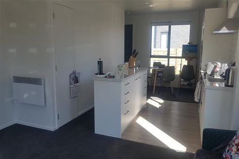 Photo of property in 1/14 Buffon Street, Waltham, Christchurch, 8023