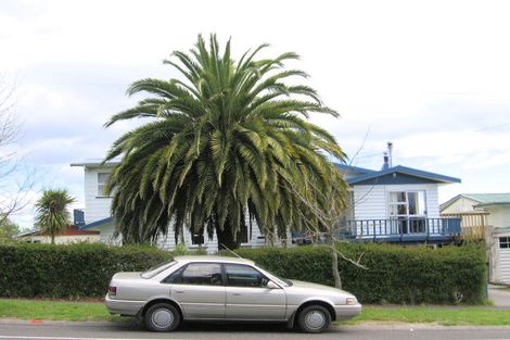 Photo of property in 57 Tamatea Road, Taupo, 3330