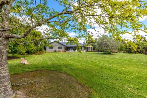 Photo of property in 47 Gumdiggers Lane, Mangawhai Heads, Kaiwaka, 0573