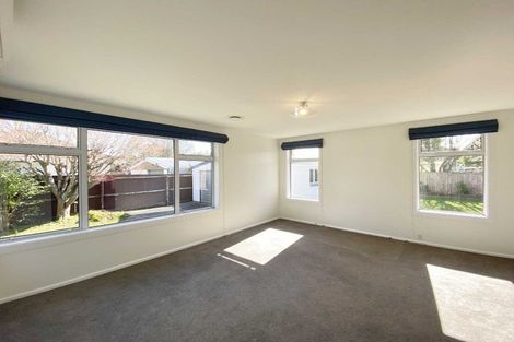 Photo of property in 20 Blakiston Street, Hoon Hay, Christchurch, 8025