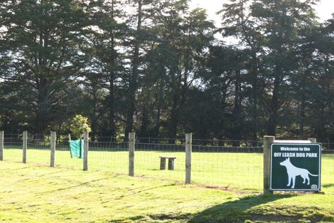 Photo of property in 31 Cotterville Crescent, Greytown, 5712