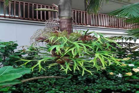 Photo of property in 139 Ota Point Road, Whangaroa, Kaeo, 0478