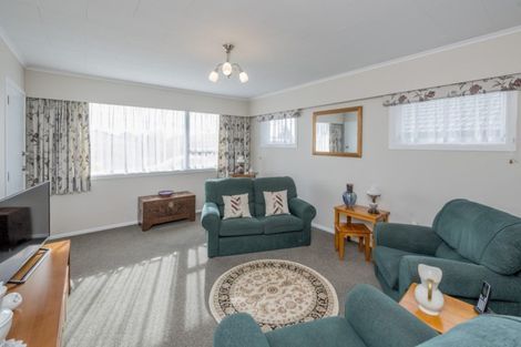 Photo of property in 78 Winchester Street, Levin, 5510