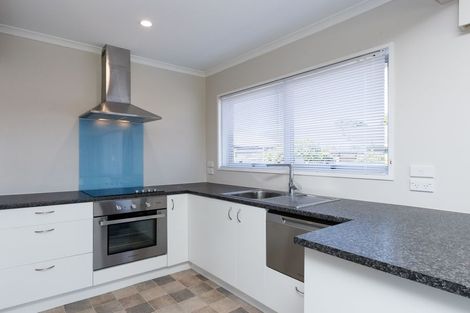 Photo of property in 411a Ruahine Street, Terrace End, Palmerston North, 4410