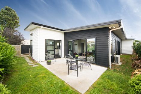 Photo of property in 28a Ward Street, Palmerston North, 4410