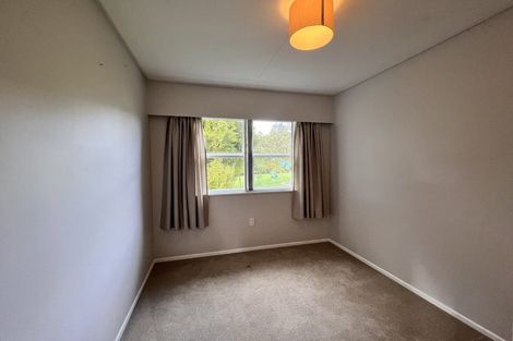 Photo of property in 244a Jericho Road, Pukekohe East, Pukekohe, 2677