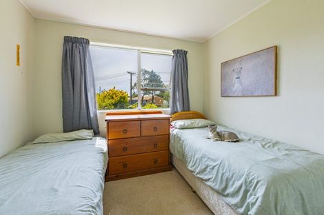 Photo of property in 19 Lake Street, Takapau, 4203