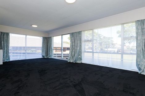 Photo of property in 411a Ruahine Street, Terrace End, Palmerston North, 4410