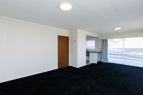 Photo of property in 411a Ruahine Street, Terrace End, Palmerston North, 4410