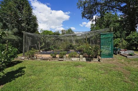 Photo of property in 550 Matangi Road, Matangi, Hamilton, 3284