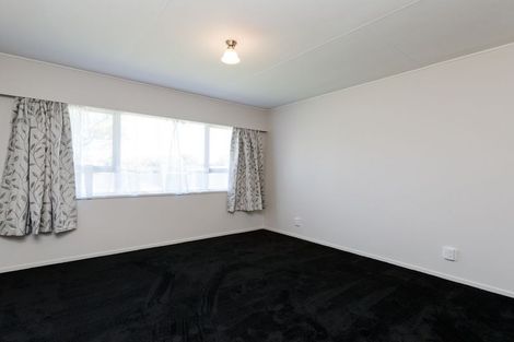 Photo of property in 411a Ruahine Street, Terrace End, Palmerston North, 4410