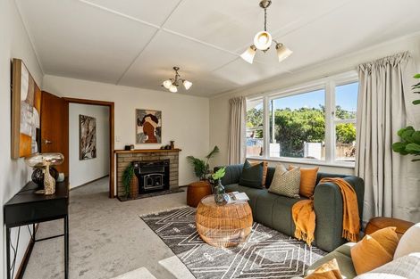 Photo of property in 61 Beazley Avenue, Paparangi, Wellington, 6037