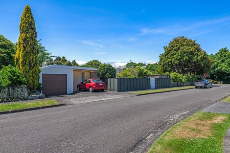 Photo of property in 113 Pahiatua Street, Hokowhitu, Palmerston North, 4410