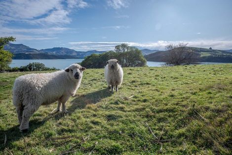 Photo of property in 261 Beach Road, Akaroa, 7520