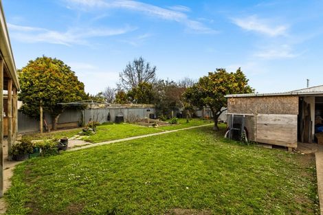 Photo of property in 24 Bill Hercock Street, Pirimai, Napier, 4112