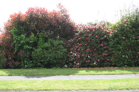 Photo of property in 5 Scenic Heights, Acacia Bay, Taupo, 3330