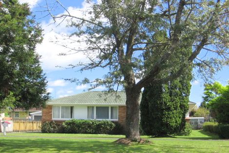 Photo of property in 71 Burwood Road, Matamata, 3400