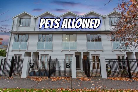 Photo of property in 1/1a Haverstock Road, Sandringham, Auckland, 1025