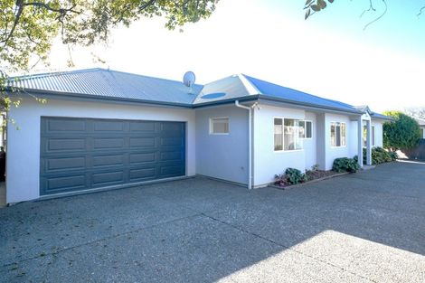 Photo of property in 19a Guthrie Road, Havelock North, 4130