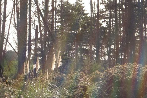 Photo of property in 336 Matai Bay Road, Karikari Peninsula, Kaitaia, 0483