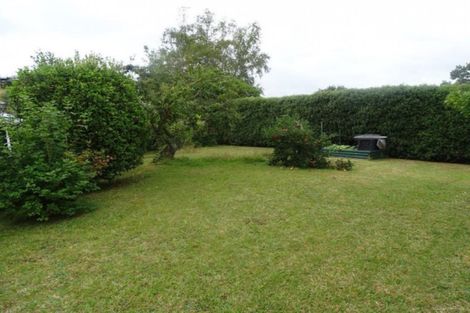 Photo of property in 10 Mcdonald Place, Paeroa, 3600