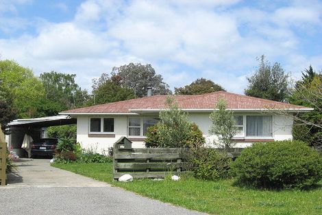 Photo of property in 13 Oudenarde Street, Renwick, 7204