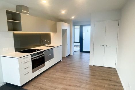 Photo of property in 3/44 Antigua Street, Addington, Christchurch, 8024