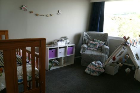 Photo of property in 72 Wilson Road, Balclutha, 9230