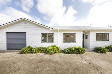 Photo of property in 8a Millar Street, Terrace End, Palmerston North, 4410