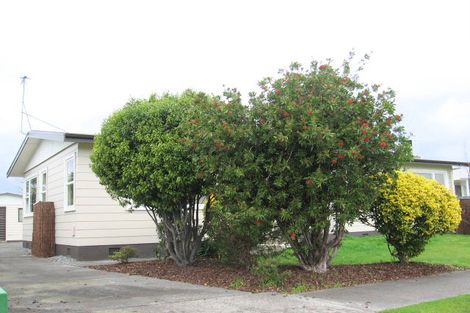Photo of property in 25 Dewe Avenue, Feilding, 4702