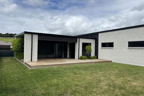 Photo of property in 111 Whakaturou Crescent, Pyes Pa, Tauranga, 3112