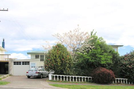 Photo of property in 55 Tamatea Road, Taupo, 3330