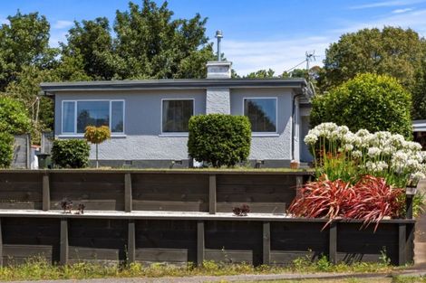 Photo of property in 3 Brecon Road, Stratford, 4332