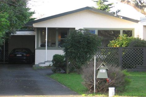 Photo of property in 341 Ruahine Street, Terrace End, Palmerston North, 4410