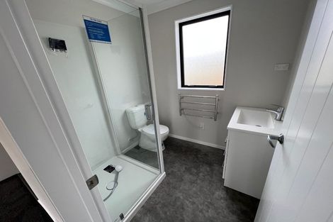 Photo of property in 23 Maire Street, Levin, 5510