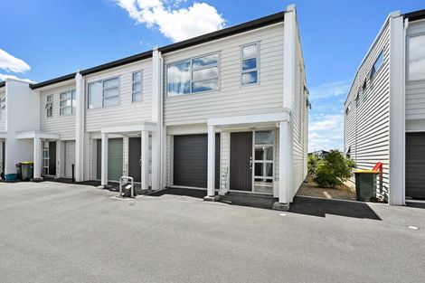 Photo of property in 25 Portland Lane, Chartwell, Hamilton, 3210