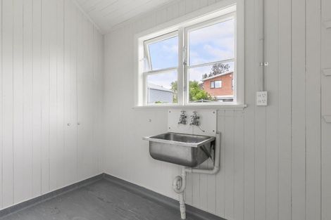 Photo of property in 48 Premier Avenue, Point Chevalier, Auckland, 1022