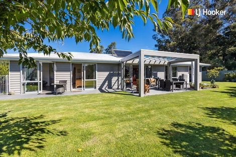 Photo of property in 17 Awa Toru Drive, Fairfield, Dunedin, 9018