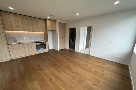 Photo of property in 4 Hadlow Terrace, Grey Lynn, Auckland, 1021