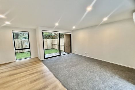 Photo of property in 4/9 Chatham Street, Addington, Christchurch, 8024