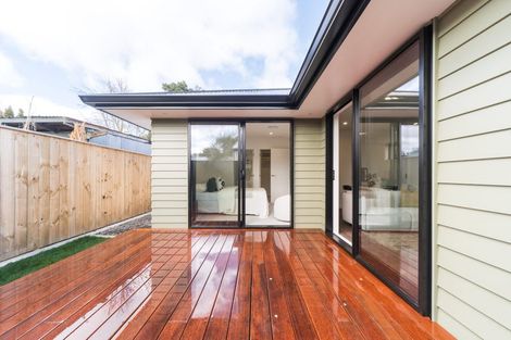 Photo of property in 24a Alfred Street, Roslyn, Palmerston North, 4414