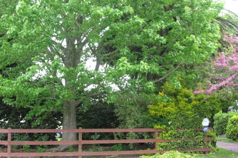 Photo of property in 14 Wellington Street, Opotiki, 3122