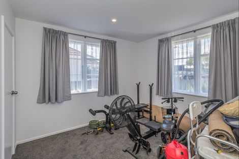 Photo of property in 51 Winchester Street, Levin, 5510