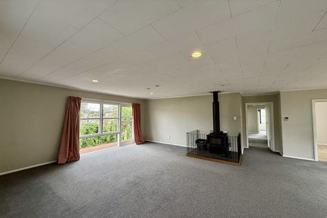 Photo of property in 17 Laurence Street, Queenwood, Hamilton, 3210