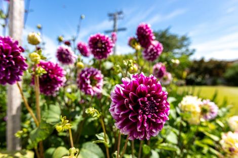 Photo of property in 15 Towers Street, Paeroa, 3600