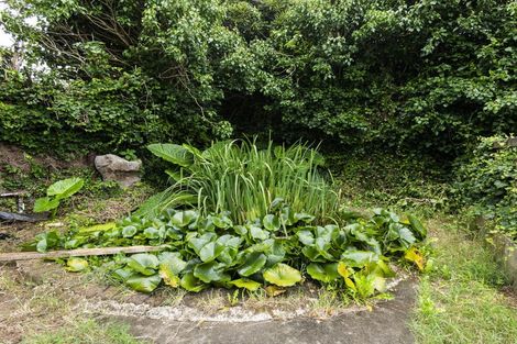 Photo of property in 83 Stout Street, Whataupoko, Gisborne, 4010