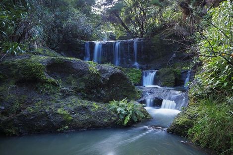 Photo of property in 134 Lone Kauri Road, Karekare, New Lynn, 0772