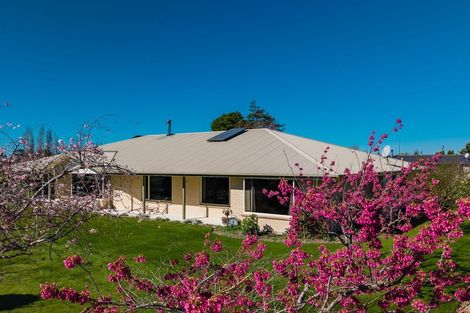 Photo of property in 4 Allan Street, Waimate, 7924